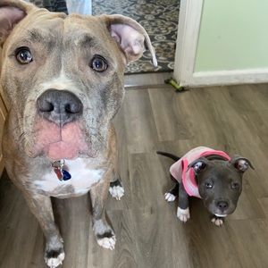 Meet your Posher, Madeline